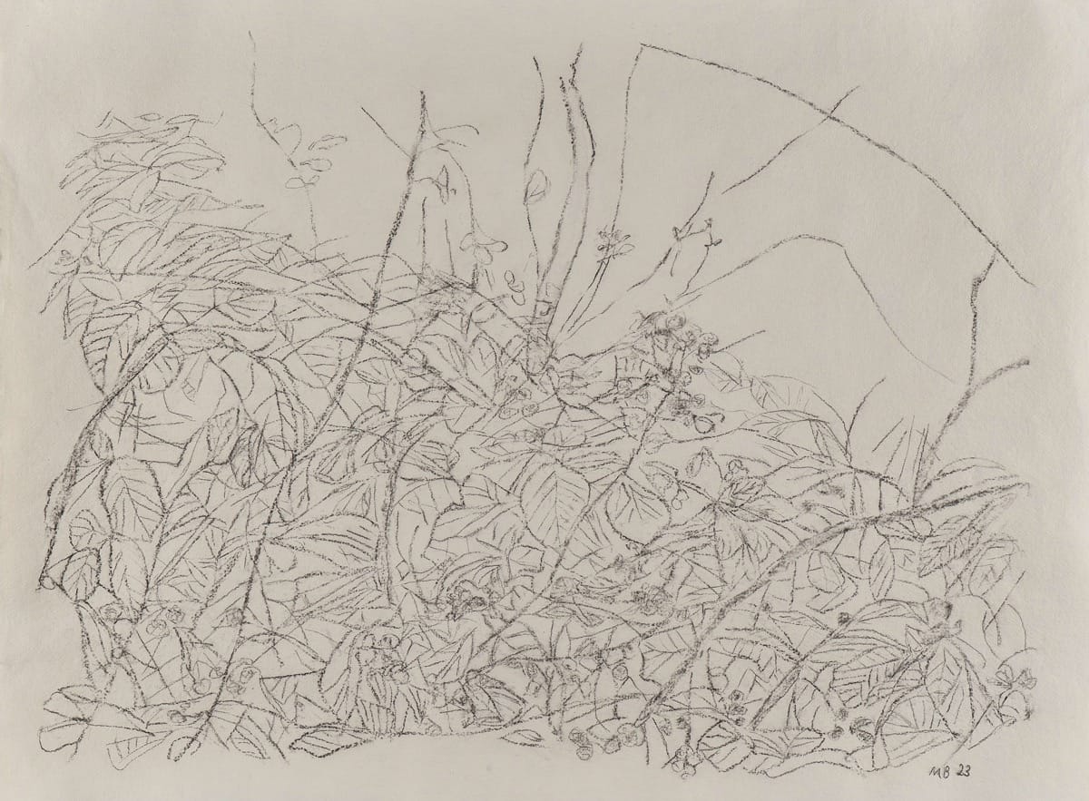 Brambles - III (Line)