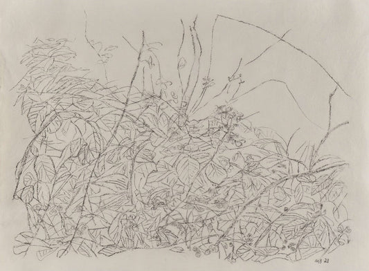 Brambles - III (Line)