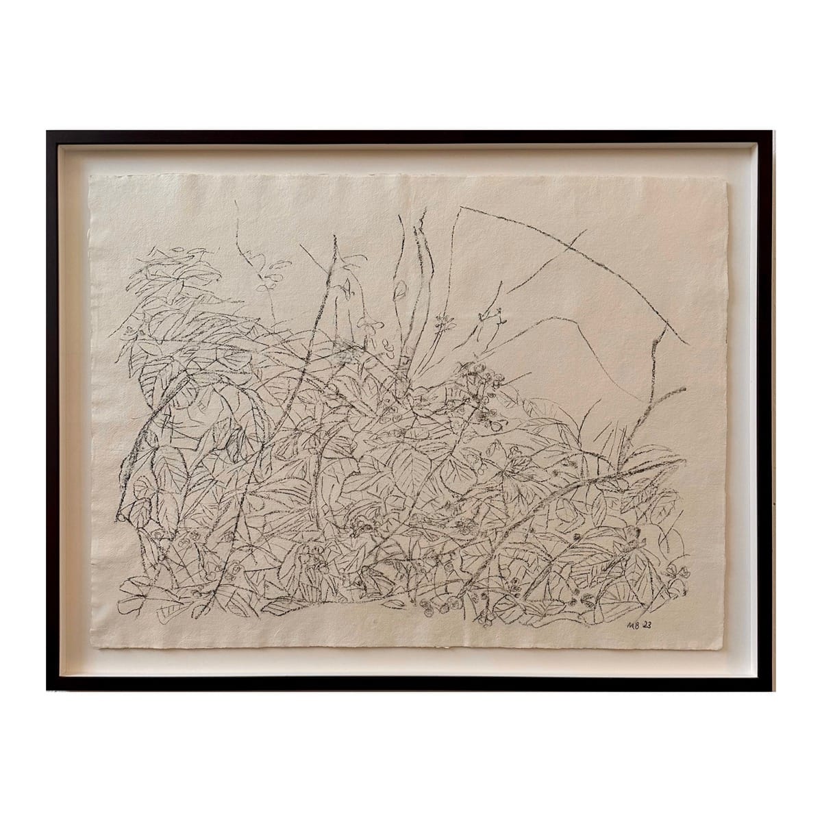 Brambles - III (Line)