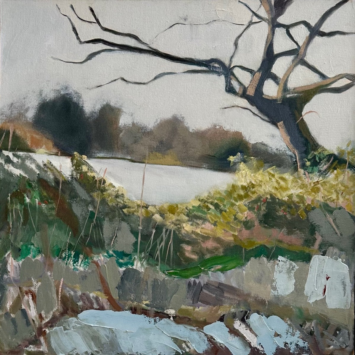 Frosty Walk on the Common