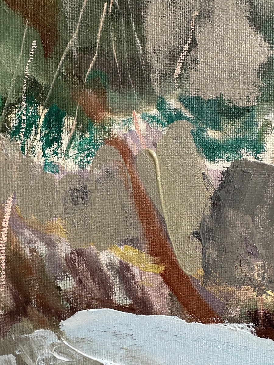 Frosty Walk on the Common