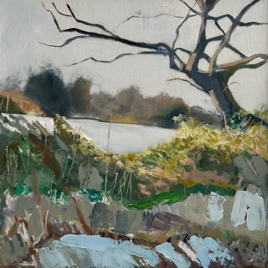 Frosty Walk on the Common