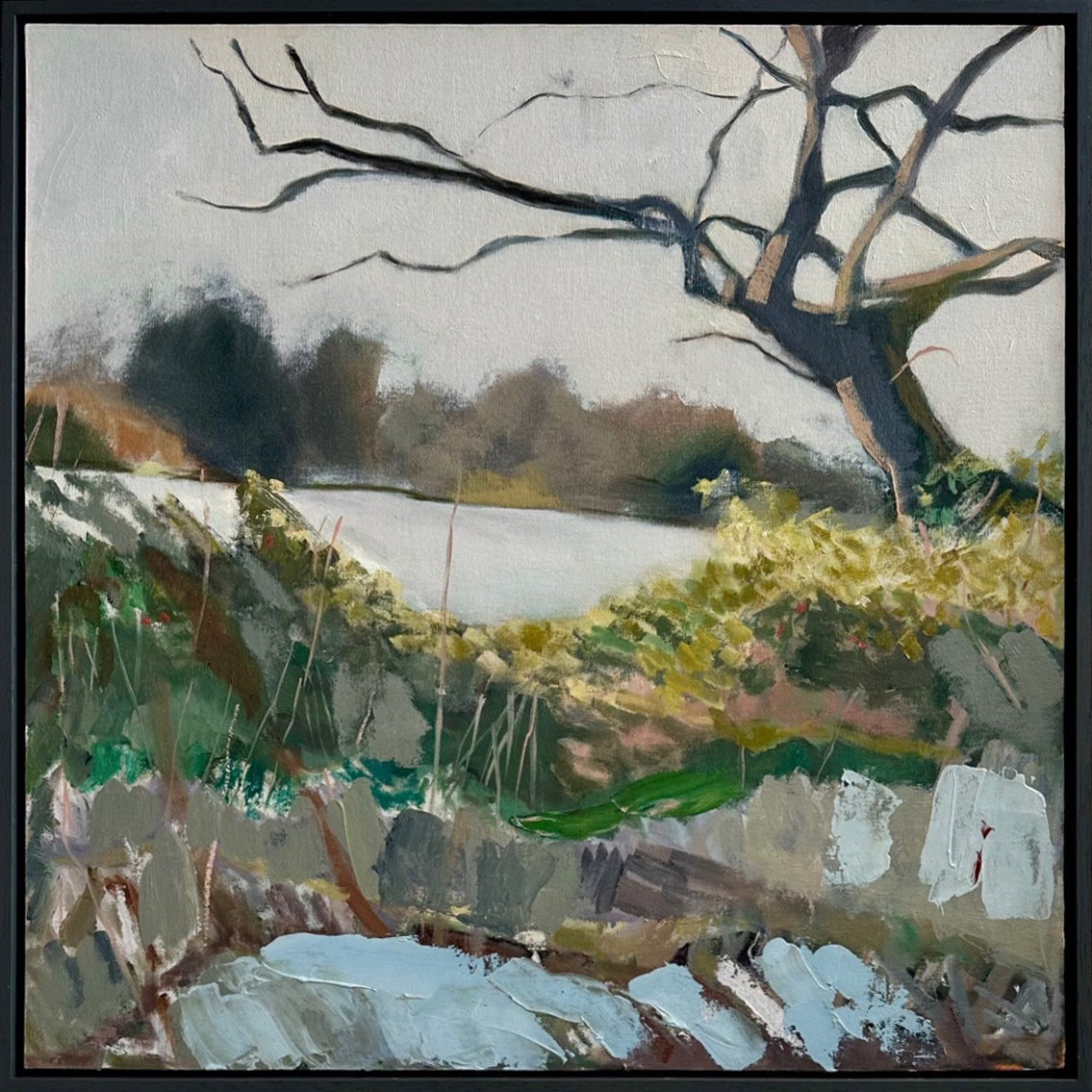 Frosty Walk on the Common