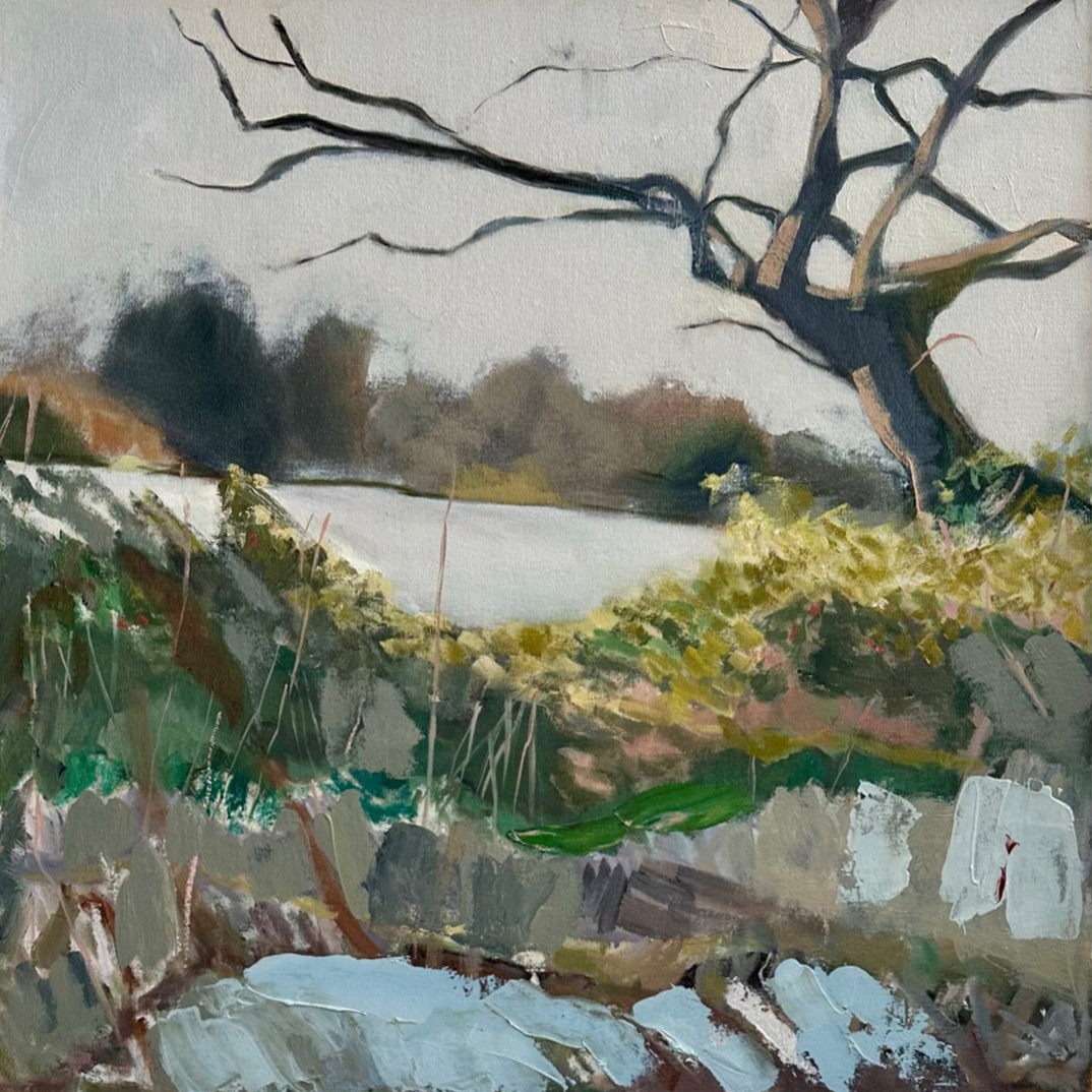 Frosty Walk on the Common