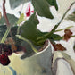 Garden Flowers, July (II)