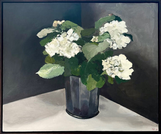 White Hydrangea